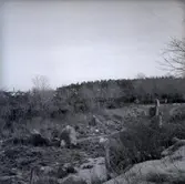 Skeppssättning i Nydala.

En skeppssättning (ibland ett stenskepp) är en stenkrets med den spetsovala formen av ett skepp. Ungefär 2 000 skeppssättningar är kända i Skandinavien, de flesta i Sydsverige, men även ett stort antal i Danmark och Norge. Spridda exempel finns också i Tyskland och Baltikum. Till övervägande del är de (som Ales stenar) daterade till vendeltiden och vikingatiden; endast 35 har daterats till bronsåldern. Flera av dessa tidiga exemplar finns på Gotland och känns igen på stora stenblock som står tätt ihop, inte glest placerade mindre stenblock som hos järnålderns skeppssättningar.

Sveriges nordligaste skeppssättning finns vid sjön Mjösjön i Yttertavle, Umeå kommun, på en tidigare ö (idag fastland) invid fyra bronsåldersgravar.

I andra delar av världen förekommer andra typer av stenkretsar. I Norden finns även andra typer av båtrelaterade gravar; till exempel brända och obrända båtgravar främst i Uppland, båtformade stensättningar och gravhögar med båtformad inre stenkonstruktion

Källa Wikipedia.