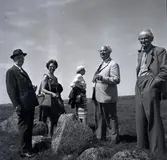 Professor Mårten Stenberger, våren 1962.