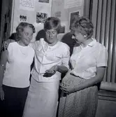 Margareta Beskow visar ett fynd i Bredsättra.