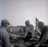 En arkeologisk undersökning i Bredsättra socken.