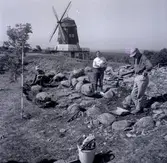 En arkeologisk utgrävning i Bredsättra.