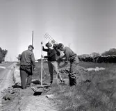 Arkeologer i Bredsättra socken med eventuellt Margeta Beskow.
