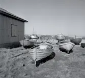 Vy med båtar från Kårehamn.