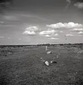 Noaks ark på Karums alvar. Gravfältet är 370 gånger 50 meter och består av omkring 70 fornlämningar, däribland 55 runda stensättningar, fyra rektangulära stensättningar, en skeppssättning och tio resta stenar. Särskilt de rektangulära stensättningarna med resta hörnstenar är prydliga. Skeppssättningen kallas Noaks ark och är 26 meter lång och är 3,5 meter bred. Stenarna är liggande och stävarna består av kantställda kalkstenshällar. Stenarna ligger också tvärsöver skrovet, vilka möjligen utgör roddarbärnkar, liksom en mittsten som möjligen markerar masten. De runda stensättningarna är 4-12 meter diameter och 0,1-0,4 meter höga. Vid vägkröken mot Långslöt står två stora kalkstenshällar, de så kallade Odens flisor. Vid dem skulle enligt sägnen Oden ha bundit sin häst Sleipner.