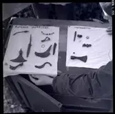 Fynd från Störlinge, yxor bland annat.