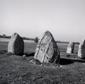 Bygravfält med stensättning vid västra sidan av vägen söder om Åkerby i Runsten 1970-06.