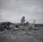 Utgrävning vid Skedemosse.