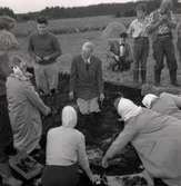 Utgrävning vid Skedemosse med kung Gustaf VI Adolf och Ulf Erik Hagberg.