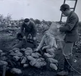 Arkeologisk utgrävning vid Törnbotten 14/10 1960.