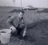 Utgrävningar vid Ormöga 23/9 1963, K-G Petersson.

Man hittade mycket djurbensmaterial här och kunnat konstatera att nötboskap har varit Ormögas viktigaste köttproducent. Jakt och fiske utgorde ett betydelsefullt inslag i befolkningens dagliga livsföring. Grönlandssäl har för första gången påträffats i förhistoriskt benmaterial från Öland.