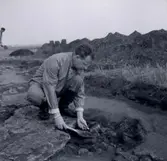 Från utgrävning i Ormöga 23/9 1963.

Man hittade mycket djurbensmaterial i Ormöga och har kunnat konstatera att nötboskap har varit Ormögas viktigaste köttproducent. Jakt och fiske utgorde ett betydelsefullt inslag i befolkningens dagliga livsföring. Grönlandssäl har för första gången påträffats i förhistoriskt benmaterial från Öland.