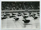 Husmodersgymnastiken firar 25-årsjubileum i oktober 1969 med gymnastikuppvisning i Sporthallen.