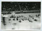 Husmodersgymnastiken firar 25-årsjubileum i oktober 1969 med gymnastikuppvisning i Sporthallen. Här är det barngymnastik.