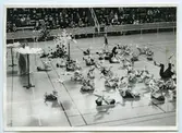 Husmodersgymnastiken firar 25-årsjubileum i oktober 1969 med gymnastikuppvisning i Sporthallen. Här är det barngymnastik.