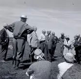 Danska arkeologer på ölandsbesök 1962 med Mårten Stenberger, professor i arkeologi.