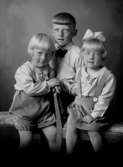 Ateljé foto tre barn, ett av dom sitter Kristerssons barn 1931
	Metallutfällning, fingeravtryck lätta repor, lät missfärgad rosa.
