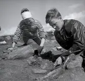 Fynd från Törnbottens gravfält 24/8 1961.