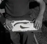 Fynd från Törnbottens gravfält 24/8 1961.