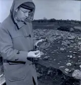 Utgrävning vid Klinta 1957.