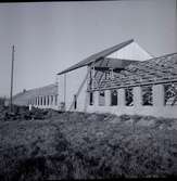 Husbygge av vad som blev Thuressons hönsfarm i Gillsätra, Glömminge. Företaget grundades av Sigvard Thuresson 1950. Idag drivs det av sonen Agne Thuresson och Yvonne Rydberg.