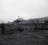 Husbygge som blev Thuressons hönsfarm i Gillsätra, Glömminge. Företaget grundades av Sigvard Thuresson 1950. Idag drivs det av sonen Agne Thuresson och Yvonne Rydberg.