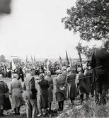 N. Vånga sn. Hans Majestät Konung Gustav VI Adolf på Lumbers hög den 19 augusti 1951.