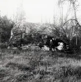 Norra Vånga sn. Stacketorp. Flyttblock utmed vägen Falköping - N. Vånga.