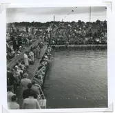 Ögonblicksbild från SM i simning, som hölls vid Långviksbadet i Kalmar 1946.