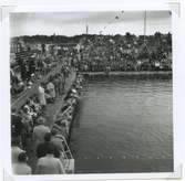 Ögonblicksbild från SM i simning, som hölls vid Långviksbadet i Kalmar 1946.