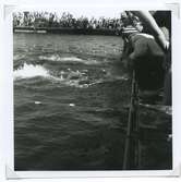 Från SM i simning, som 1946 hölls vid Långviksbadet i Kalmar.