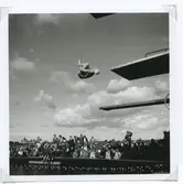 Kalmar, Stensö, Långviksbadet. SM i simning 2/8 1946. Foto: Walter Olson 1946-08-02.
En simhoppare i aktion under SM i simning, som 1946 hölls Långviksbaded i Kalmar.