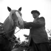 Degerfors. Bildsidan.
11 september 1955.