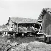 Udden med bodar i östra Eknö.