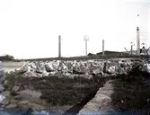 Grundmuren av bastionen Carolus Philippus sedd från Klapphuset.