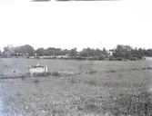 Källgärdet med provbrunnen som grävdes år 1900.