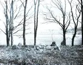 Konvaljebacken, en fyrkantig grav med hörnstenar.  Foto från 17/5 1931.