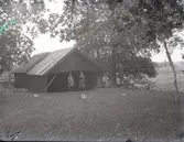 Bastan åtta meter lång. I Ugglerum.