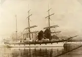 Barken Argus av Bergkvara

Foto: John A. Olsen, Brooklyn, Taget i Bristol 1895. 499 ton. Byggt i Grimstad 1894. Bergkvara 1916.