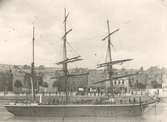 Barken Argo i Bristols hamn.

31 ton.  Byggd i Kalmar 1850. Såld till Norge omkring 1870. Uppgift av Georg Gjesoe, Hegdesundsveien 34, Oslo.