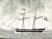 Celeritas

B: 1846 Celeritas från Calmar capt J. C. Parrow. Byggt 1831 i Kalmar för J. C. Parrow.
Akvarell privat ägo.