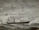 Fortuna
Brigg, 202 ton, byggd 1873 i Drammen. Hemma i Timmernabben 1895, redare R. T. Olsson, bef.hav. J. Andersson. Samma rederi 1910; bef.hav. G.F. Olsson. Saknas i skeppsl. 1915. Akv. Kalmar Museum inv. 16909. - Uppges ha uppbringats och bränts av tyskarna på Nordsjön 1915, fördes då av kapten Erik Fransen, Korpemåla, Ålem.