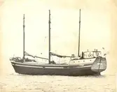 Tremastaren Majborg av Sibbo i Finland.