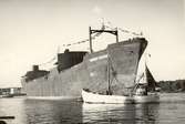 Pacific Clipper

Byggd på Oskarshamns varv, sjösatt 1955.
