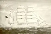Tremastad bark, byggd 1876 i Härnösand. Kapten ca 1900 A.P. LArsson, 1908 hemmahörande i Söderhamn.
Gouache ca 1900, KLM 22513.