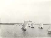 Karlskrona , kappsegling med blekingsekor.
Foto ca 1915. Blekinge museum.