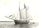 Ronneby redd, skuta på insegling. Foto ca 1915. Blekinge museum.