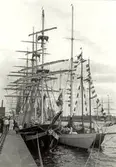 Tall Ships Race
Malmö 1972