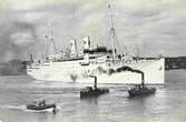 Fartyget MS Gripsholm tillhörde Svenska Amerikalinjen och sjösattes 1925. Originalmaskineriet fanns kvar genom hela hennes användningstid. Hon var det första transatlantiska maskinfartyget. Hon gjorde den första resan i  Svenska Amerikalinjens historia, från Göteborg till Medelhavet den första februari 1927. Under sin tid hos SAL bar hon totalt 321,213 transatlantiska passagerare och 23,551  kryssningspassagerare. Under andra världskriget tjänstgjorde Gripsholm som hemskickande skepp och gjorde 33 resor för att utbyta cirka 30000 krigsfångar, diplomater, kvinnor och barn mellan de krigande länderna.