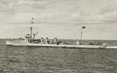 Sjöfart
Fartygsbilder

Sjösatta 1917. 465 ton. Fart 34 knop. Bestyckning: 4 75 mm kanoner, lv-pjäser samt torpedtuber.