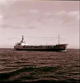 Mediterranean Star (ex-Norchem, ex-Northern Spirit, ex-Multitank Holsatia, ex-Holsatia) IMO 7320370. Chemical tanker. Length 85 m, 1,105 t. Panamean flag.
Classification society International Register of Shipping. Single hull ship built in 1973 in Kalmar (Sweden) by Kalmar Varv. Owned by Soysay Denizcilik Nakilyat (Turkey).
Sold for demolition to India.
Uppgift http://www.robindesbois.org/english/shipbreaking20.pdf 2011 03 04